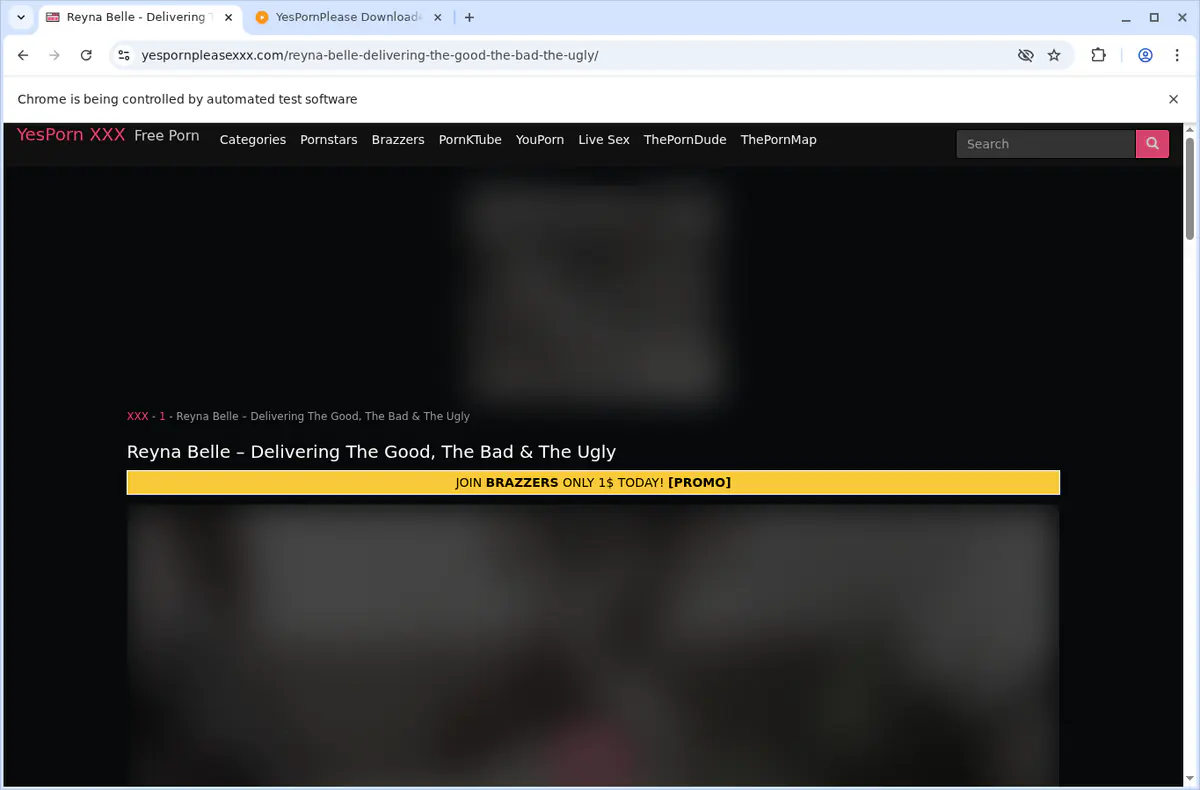 Yespornplease Video Downloader browser extension screenshot 3