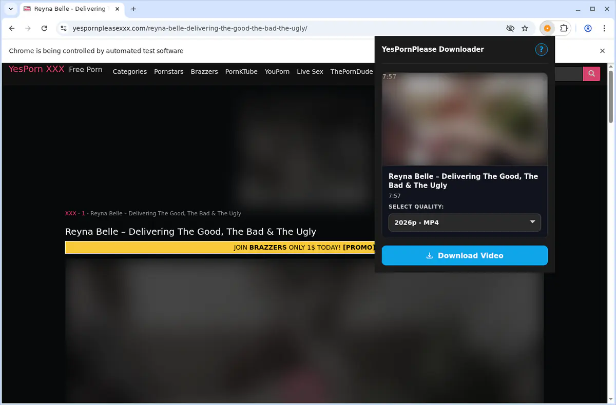 Yespornplease Video Downloader browser extension screenshot 4