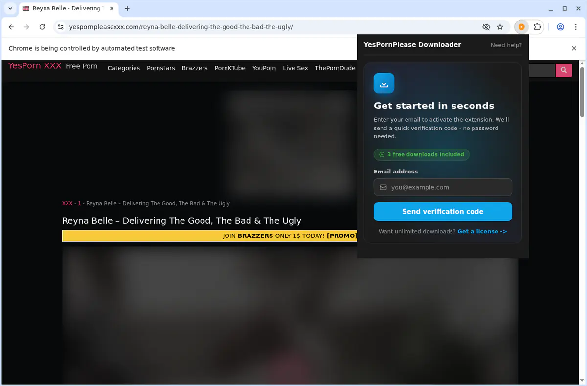 Yespornplease Video Downloader browser extension screenshot 6